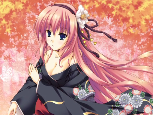 File:Akikaze Renka.png