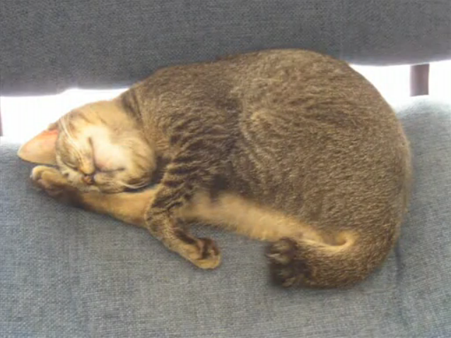 File:KenkaWakare.png