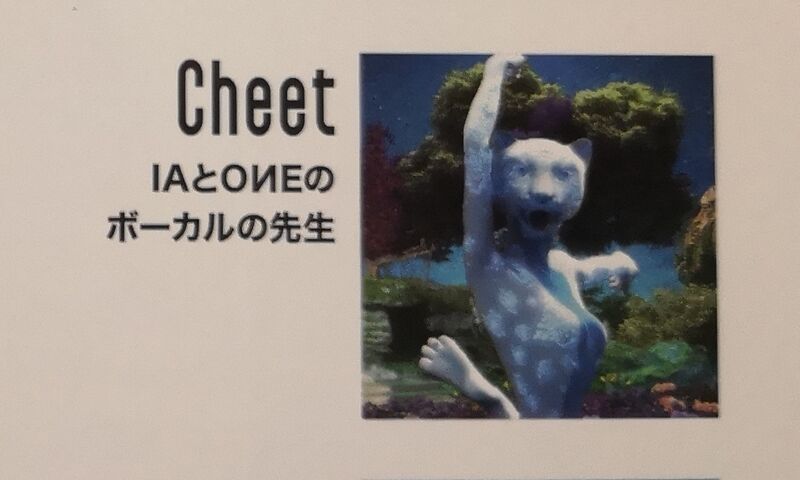 File:Cheet.jpg
