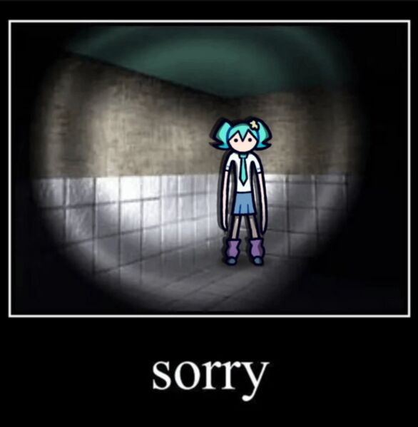 File:SOSORRY! meme1.jpg