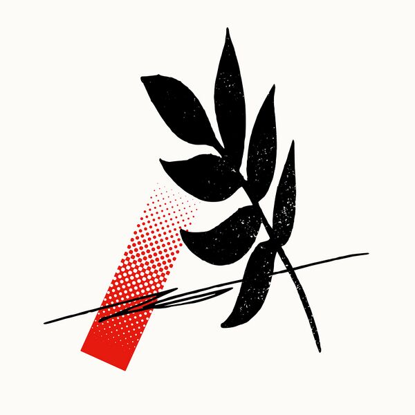 File:A Album.jpg