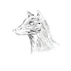 john