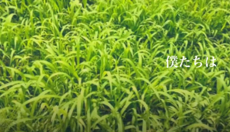 File:Bokutachiwa.PNG