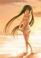 2026年8月13日 (四) 14:59版本的缩略图