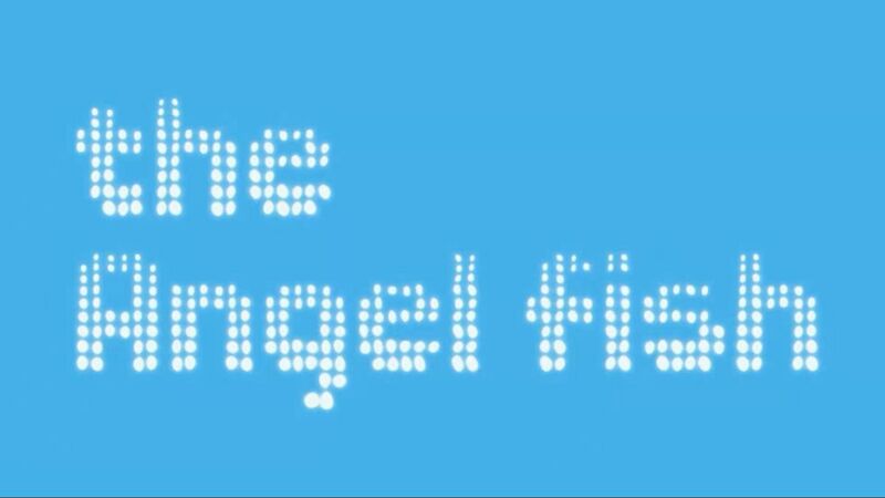 File:Angelfish.jpg