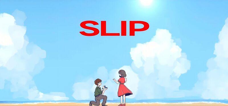 File:SLIP.jpg